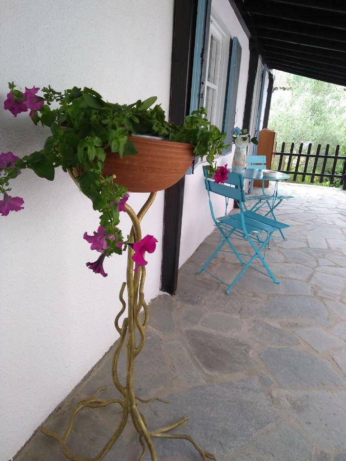 Вилла Sea & Sun House Nea Kallikrateia Экстерьер фото